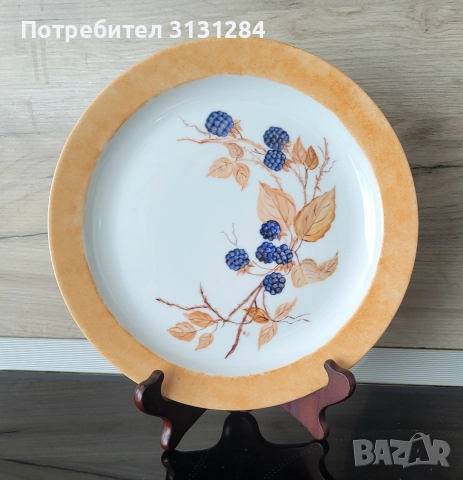 Seiltmann Weiden рьчно рисувана чиния Германия Бавария