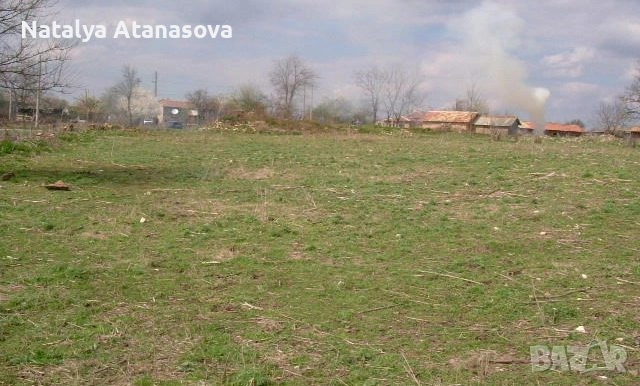 Къща за продажба в Рогозина, област Добрич, снимка 7 - Къщи - 53656445