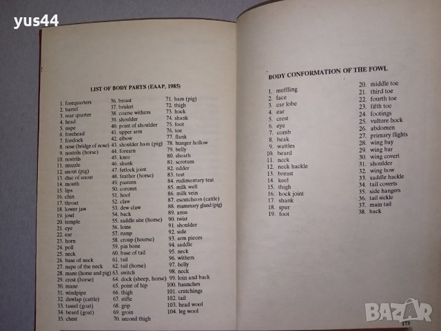Английско-Български речник по животновъдство., снимка 3 - Чуждоезиково обучение, речници - 38855615