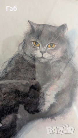 Невероятен Акварел, пухкава котка, изкуство, авторска картина, оригинал, коте, коледен подарък, снимка 5 - Картини - 52733226