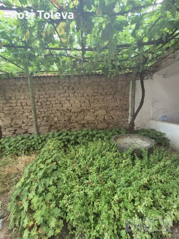 Къща с дворно място в с.Бисер, снимка 10 - Къщи - 51000115