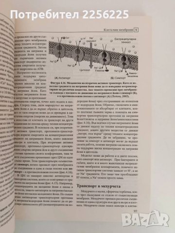 Клетъчна биология, снимка 2 - Специализирана литература - 51793671