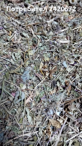 био  червен  риган, снимка 4 - Други - 52070972