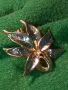 КРАСИВА СТАРА ФЛОРАЛНА ЛАКИРАНА ПОЗЛАТЕНА БРОШКА от СПЛАВ КАЛАЙ / ОЛОВО 45675, снимка 12