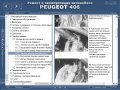Ръководство за техн.обслужване и ремонт на PEUGEOT 406 (1996...) на CD, снимка 3