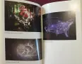 Colliding Worlds. How Cutting-Edge Science Is Redefining Contemporary Art, снимка 15