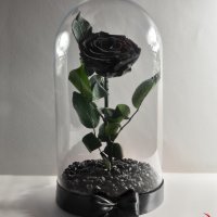 Луксозен Подарък за Жена / Естествена Вечна Черна Роза в Стъкленица / Стилен Подарък за Рожден Ден, снимка 7 - Други - 34470601