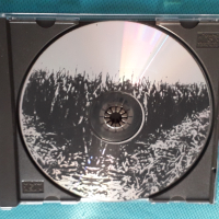 Bo Ramsey – 1997 - In The Weeds(Delta Blues), снимка 4 - CD дискове - 44517294