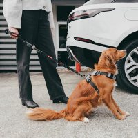 Нов автомобилен Предпазен Колан за кучета, водач и дръжка 2 в 1 , снимка 3 - За кучета - 42158326