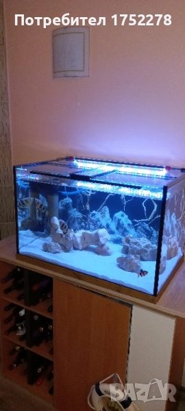 Аквариум 200л. 80/50/50/8мм.Стъкло 250лв., снимка 1