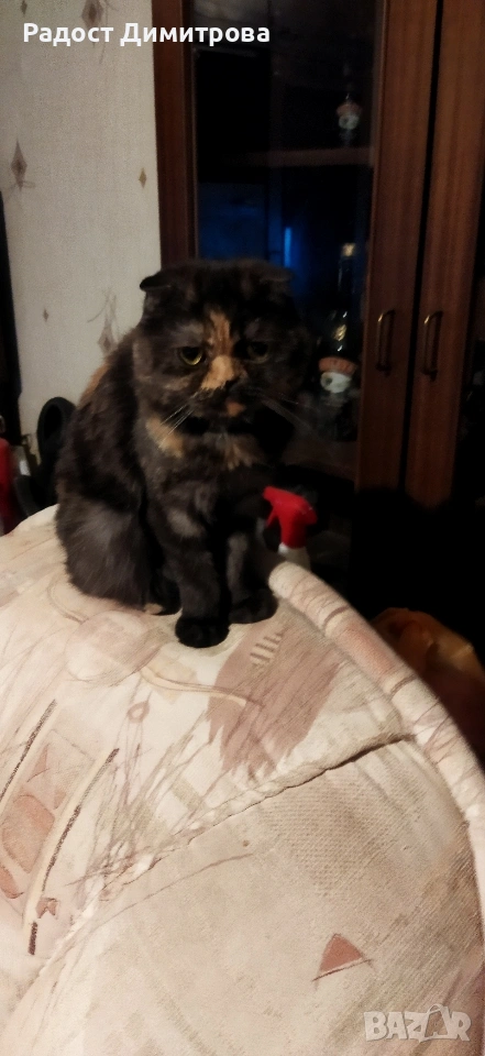 Продава се , снимка 1