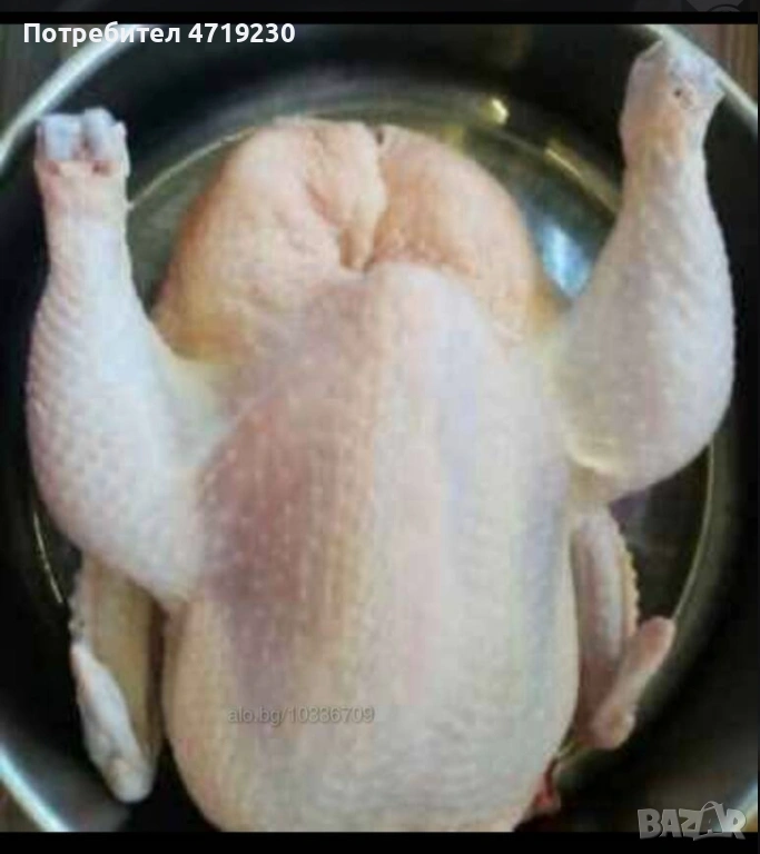 Записвам , снимка 1