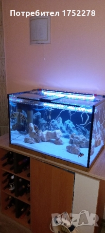 Аквариум 200л. 80/50/50/8мм.Стъкло 250лв., снимка 1