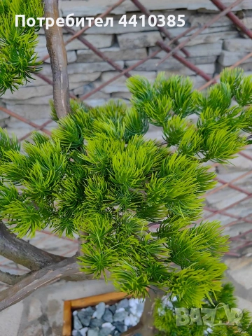 ръчно изработен бонсай Японски стил(уникат) , снимка 3 - Декорация за дома - 52833000