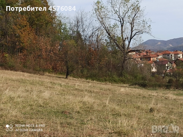 Продавам имот в гр. Берковица, снимка 6 - Парцели - 51493622