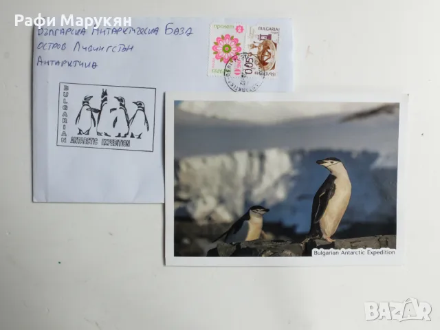 KOЛЕКЦИОНЕРСКА картичка с плик от Южния полюс,подпечатани от база Ливингстън