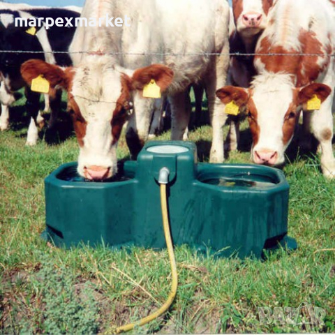 	Пасищна поилка за крави - WT80