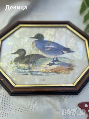 Рамкиран принт изобразяващ две синьо-зелени патици💙💚 , снимка 2 - Антикварни и старинни предмети - 51078249