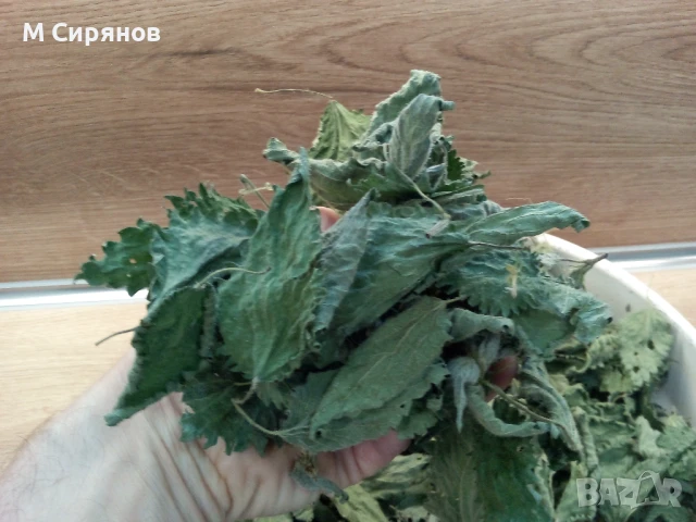 Сушена коприва 100гр - 6лв, снимка 2 - Други - 50690495