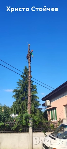 Рязане, кастрене, почистване на терени, снимка 6 - Други услуги - 51964497