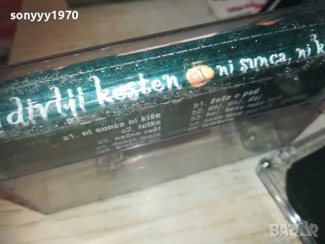 DIVLJI KESTEN-TAPE 0110241010, снимка 11 - Аудио касети - 47417295