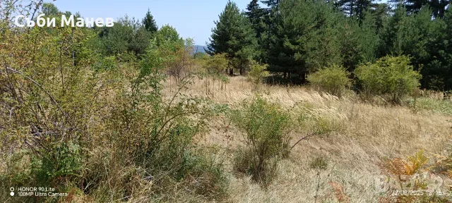Продавам парцел на Пампорово - Поповото. 🌲 , снимка 2 - Парцели - 55981325