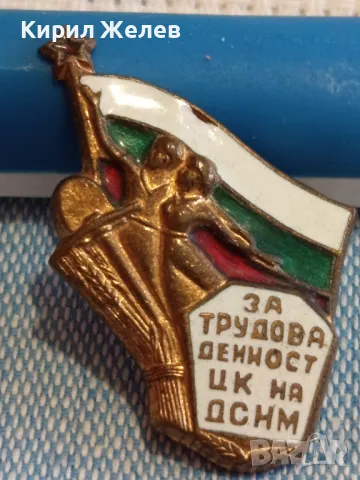 Стара емайлирана значка от соца ЗА ТРУДОВА ДЕЙНОСТ ЦК на ДСНМ колекционерска рядкост 47756, снимка 5 - Колекции - 47861665