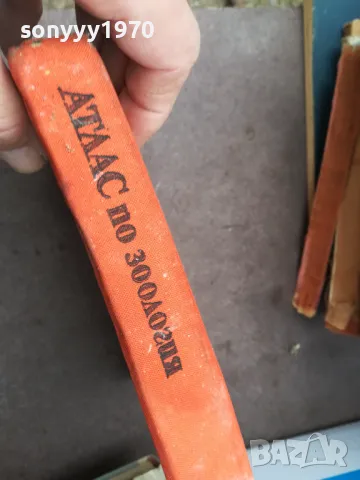 АТЛАС ПО ЗООЛОГИЯ 1974 1002250452, снимка 12 - Специализирана литература - 49049525