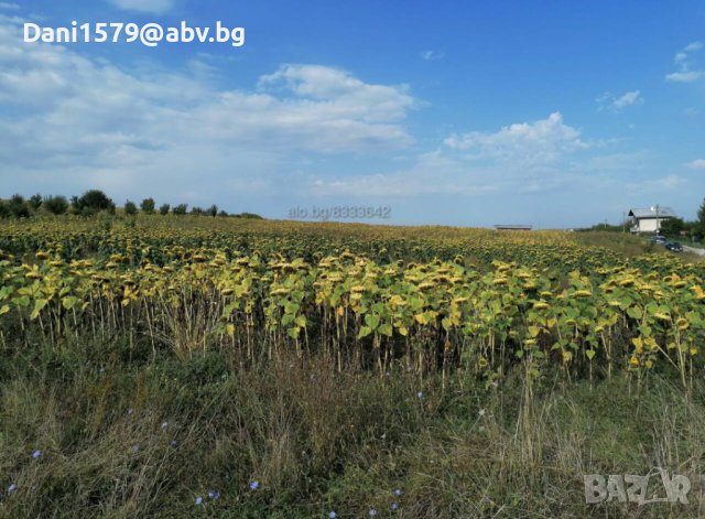 Поземлен имот 1400кв.м между къщи с. Витановци, снимка 3 - Парцели - 41818846