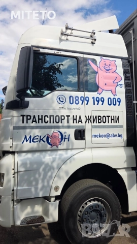 ТРАНСПОРТ НА ЖИВОТНИ, снимка 2 - Транспортни услуги - 52297631