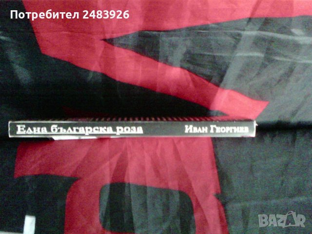 Една българска роза Истината за Паша Христова Иван Георгиев, снимка 4 - Българска литература - 41418514