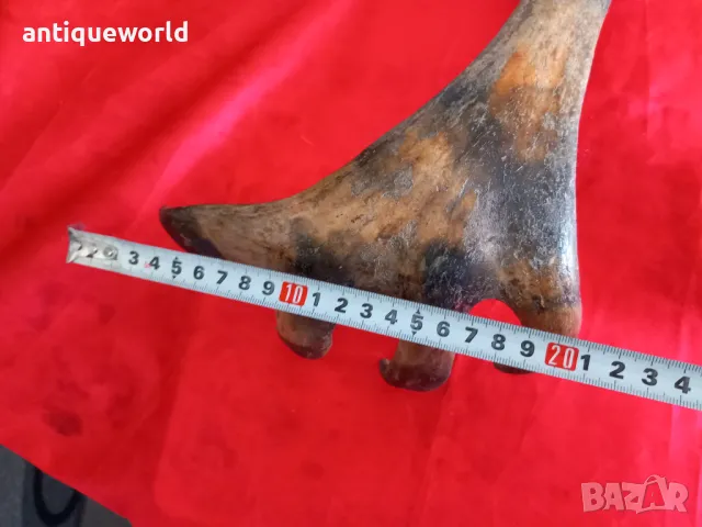 Ловен Трофей ,Рога от ЛОС , Елен , Сръндак, снимка 7 - Антикварни и старинни предмети - 49957539