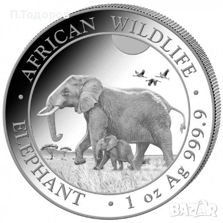 Сребро 1 oz Сомалийски Слон 2022, снимка 1