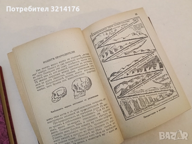 История на човѣчеството - Х. В. Луунъ (1945, Луксозна изработка, Отлично състояние), снимка 4 - Специализирана литература - 52773368