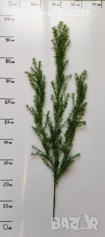 Изкуствени висящи растения, снимка 8 - Изкуствени цветя - 47466813