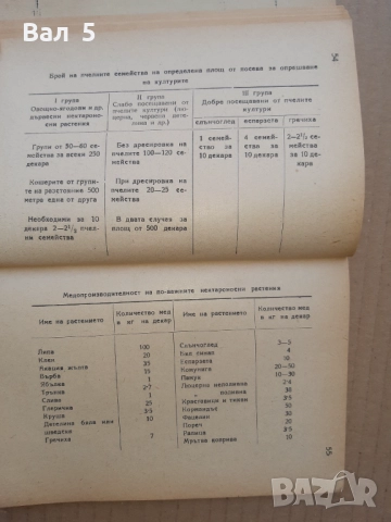 Пчеловъдството в ТКЗС - Васил И. Попов 1949 г, снимка 5 - Специализирана литература - 51445324
