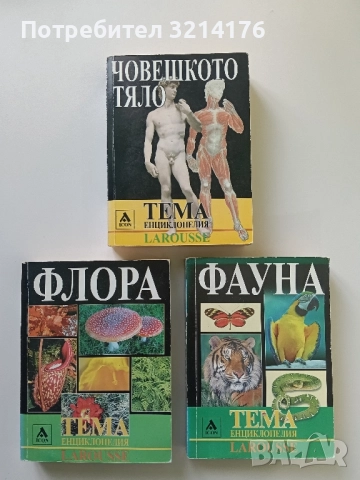 Изкуството от XVII до XXI век – Колектив, снимка 3 - Специализирана литература - 52277131