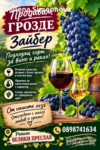 Продавам грозде Зайбер 