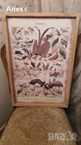 Фауна– Голяма картина, дървена рамка, 60см/ 40см, снимка 4 - Картини - 38739317