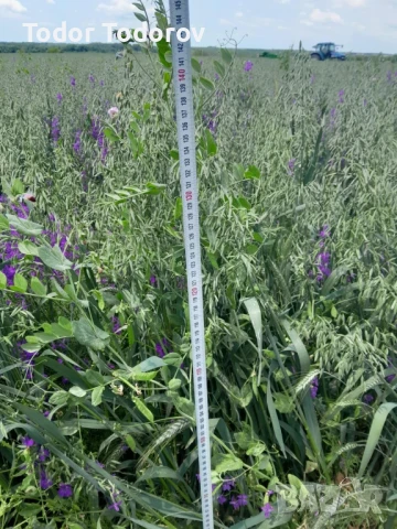 Бали сено и смеска, снимка 2 - За селскостопански - 50527811