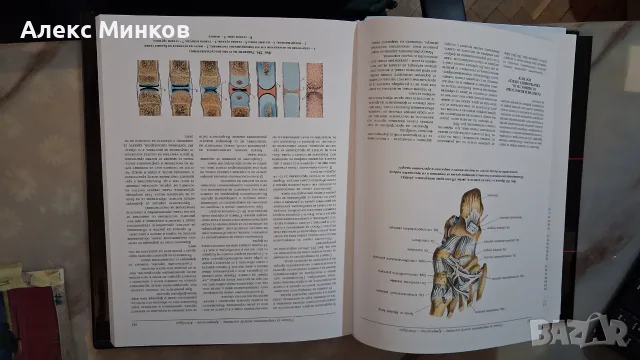 Атлас по анатомия на човека, 1 том., снимка 3 - Здраве, медицина и спорт - 55936284