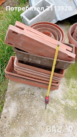 Саксии, снимка 3 - Саксии и кашпи - 53477686