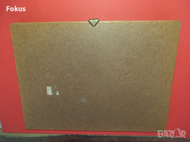 Пеперуда в рамка N2, снимка 4 - Антикварни и старинни предмети - 53363649