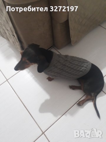 Toпъл пуловер за куче - високо качество, снимка 8 - За кучета - 41015299