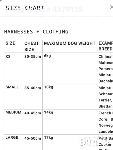Яке за куче малка порода 35-40 см, 10 кг, снимка 4 - За кучета - 52590755