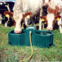 	Пасищна поилка за крави - WT80, снимка 1 - Крави - 44555112