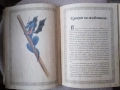 Ручейче омайно: Най-хубавите български приказки , снимка 3