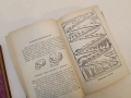 История на човѣчеството - Х. В. Луунъ (1945, Луксозна изработка, Отлично състояние), снимка 4