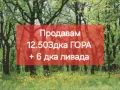  Гора 12 декара  + Ливада 6 декара., снимка 1