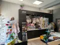 Работеща Шивачница, снимка 1